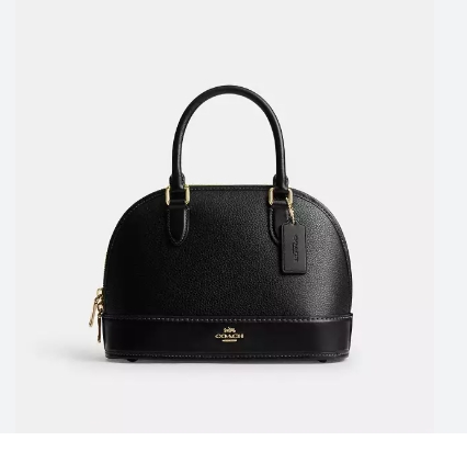 Coach Leather Mini Handbag BB35028006