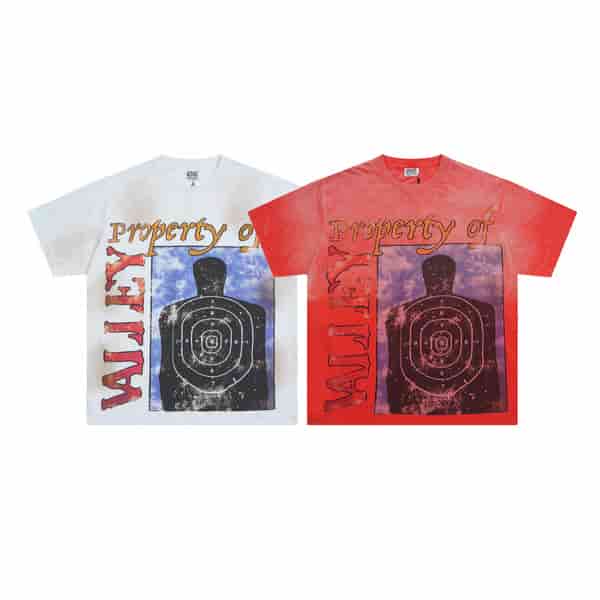 Vale Live Washed Retro Target T-shirt AO65108047