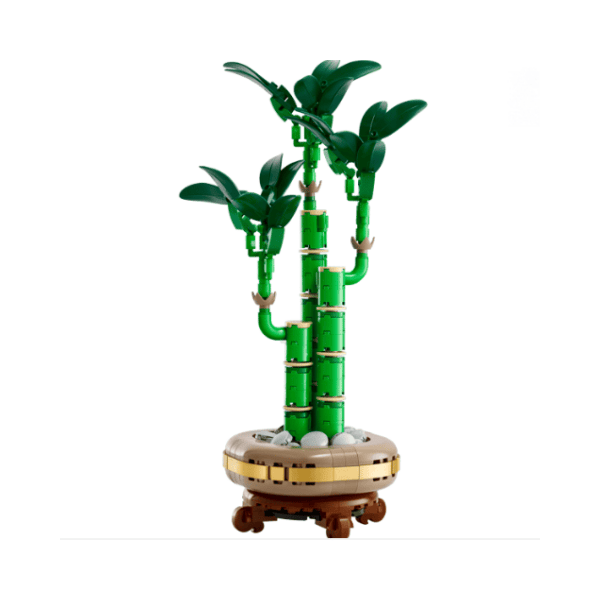 Lucky Bamboo TO220207009