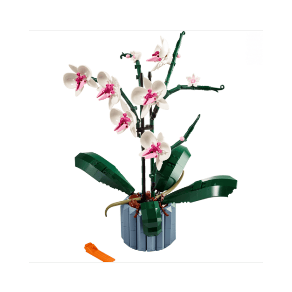 Orchid TO480207008